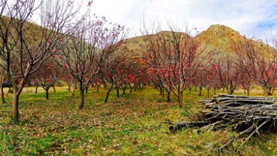 روستای هرانده