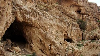 غار,غار در ایران,غار خفاش